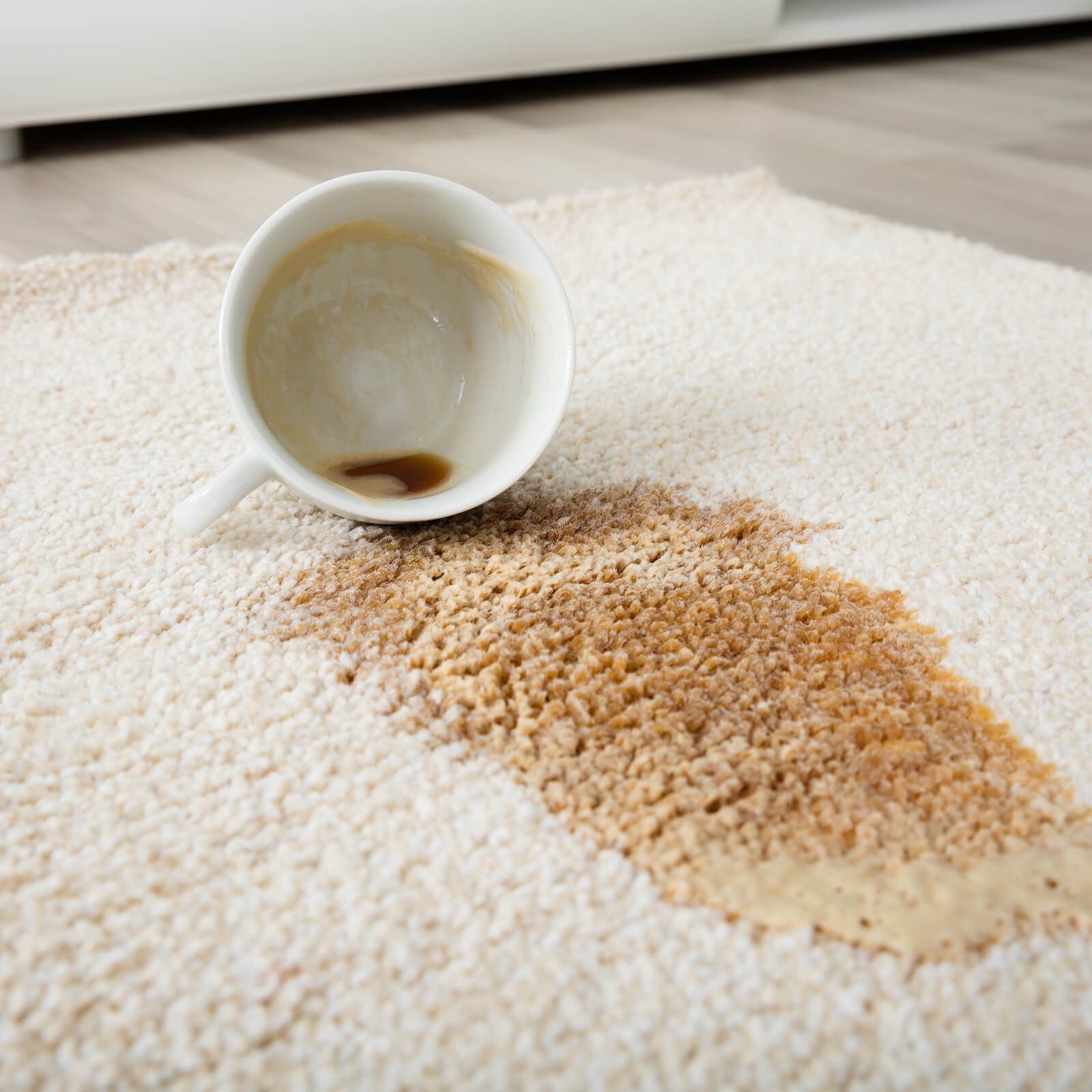 Carpet cleaning | Rich's Modern Flooring