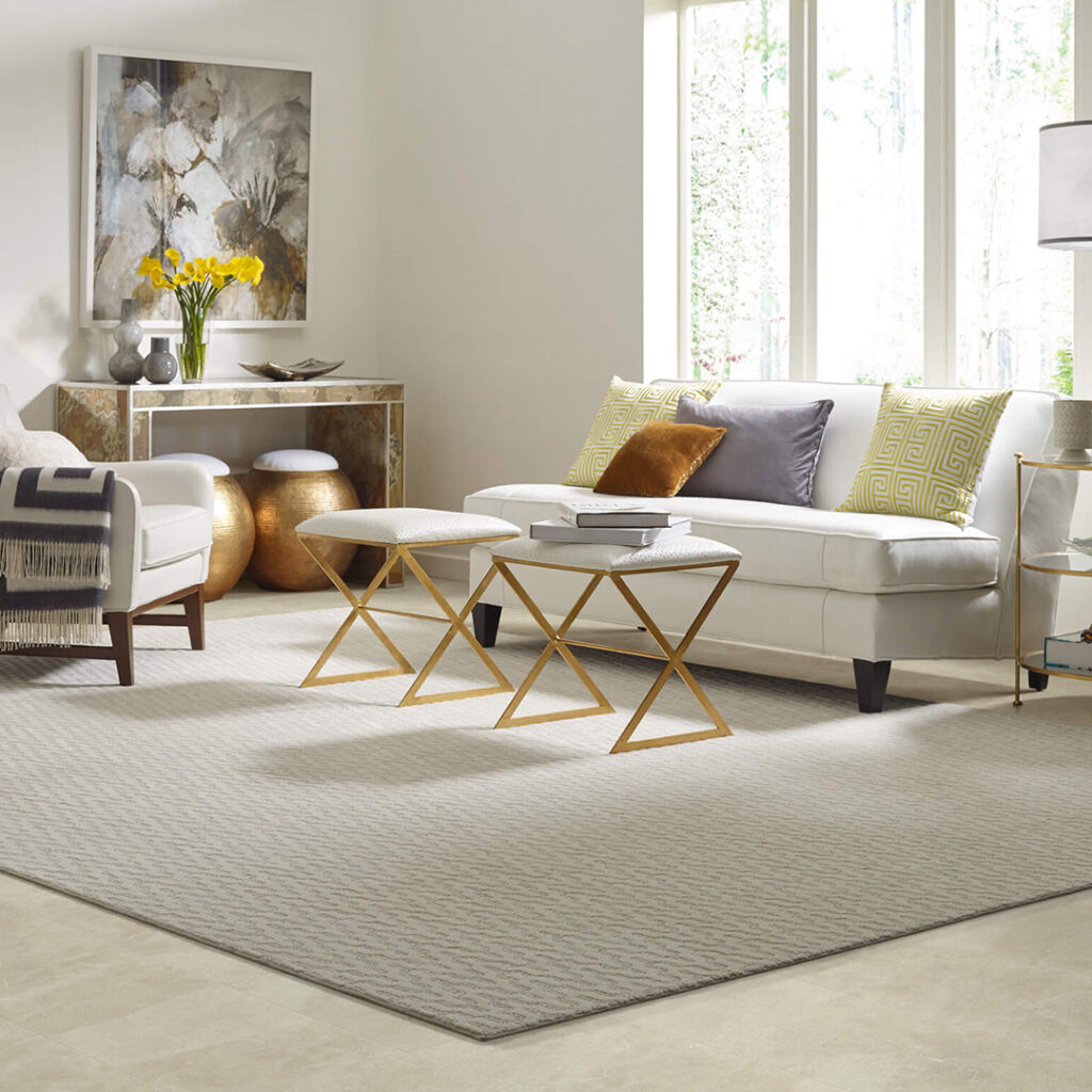 Area rug for living room | Rich's Modern Flooring