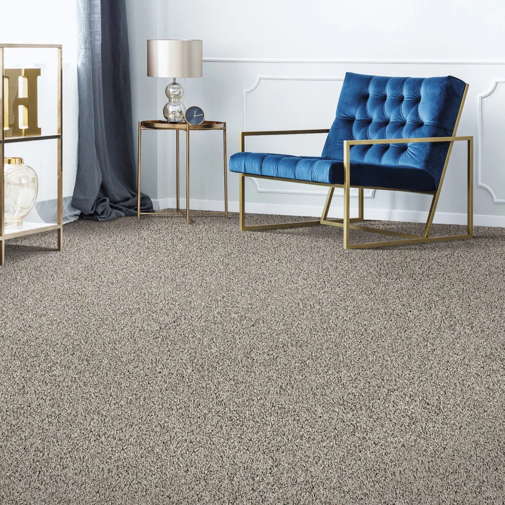 Gray Carpet | Rich's Modern Flooring