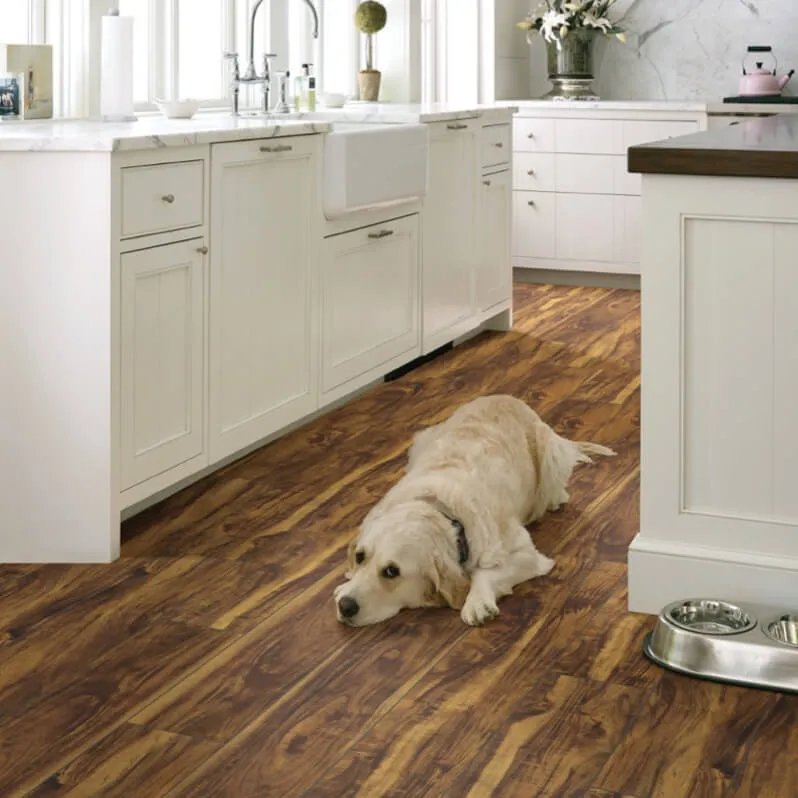 Pet perfect Vinyl | Rich's Modern Flooring